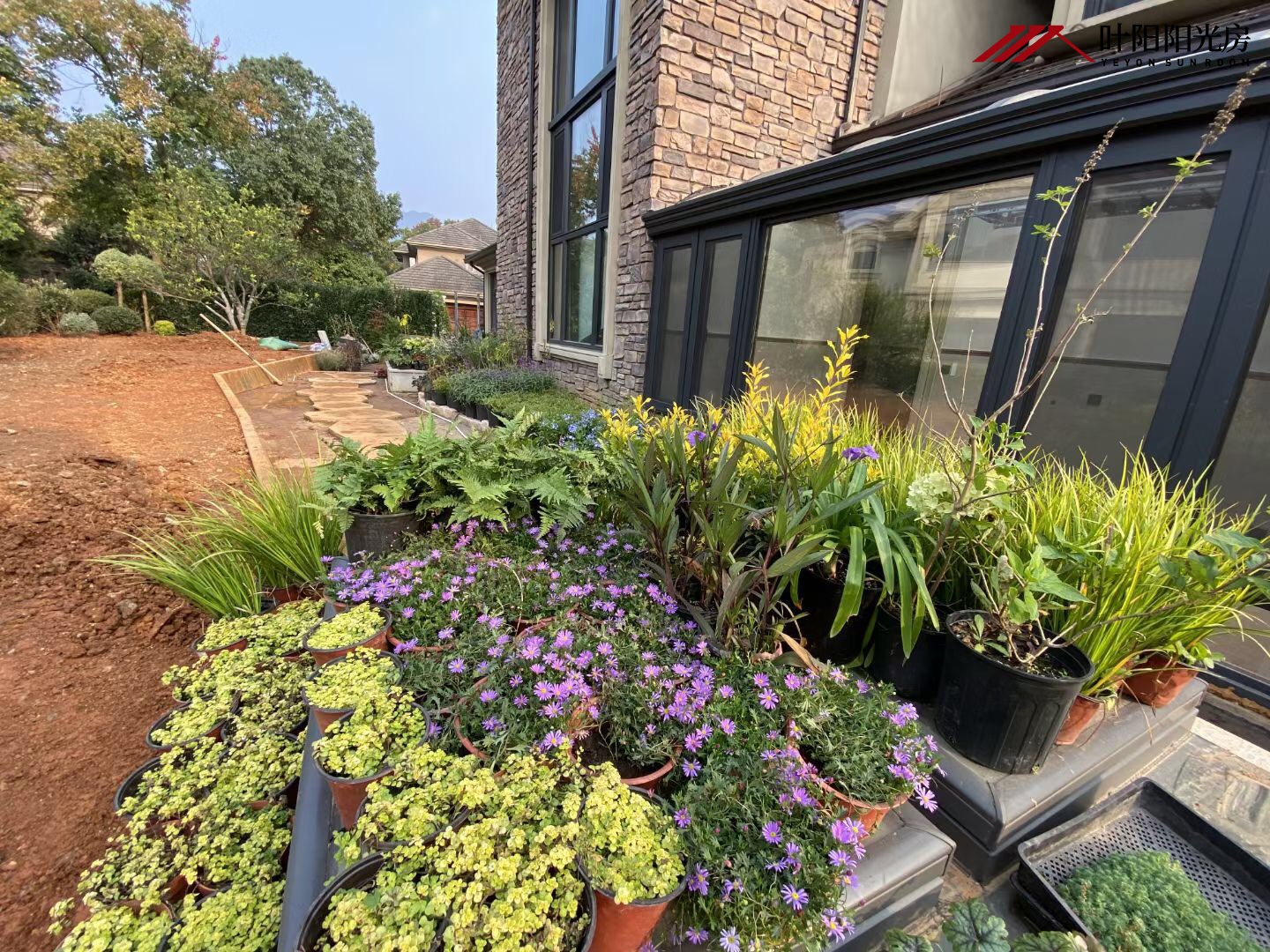 1608184004302895.png 58d973d9df3d78a9d6034aba03cee55.png